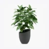 product-image-1_optimized