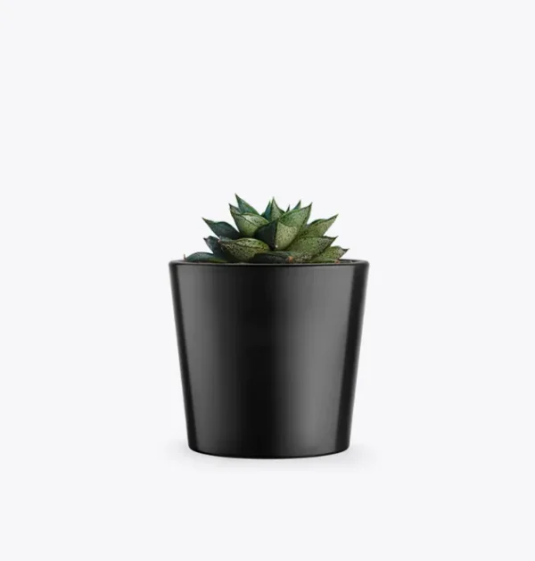 product-image-3_optimized