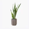 product-image-6_optimized